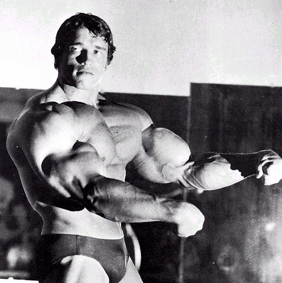 arnold-schwarzenegger-big[1]